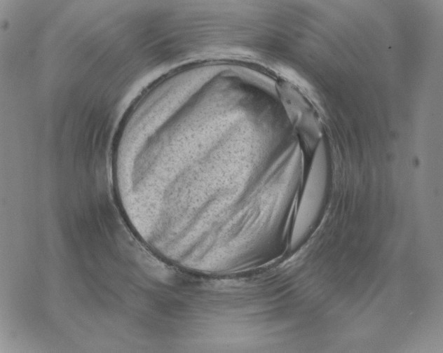 X0000076031280200610152038