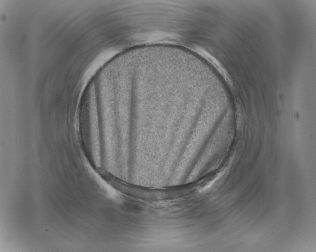 X0000076031285200610152038