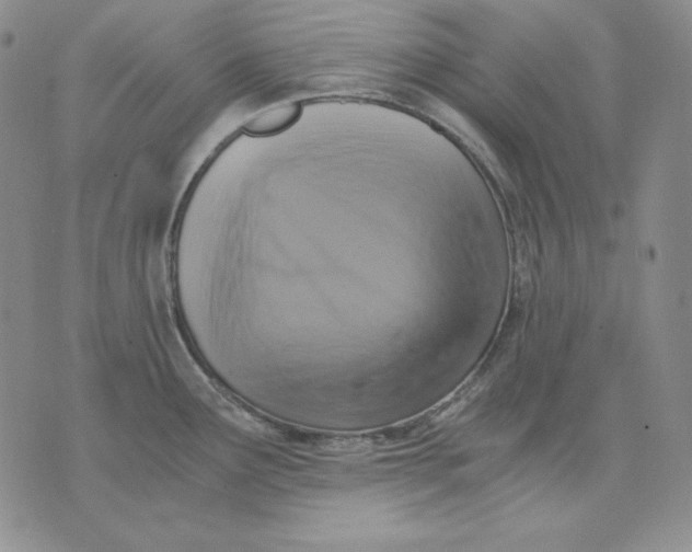 X0000076031291200610152038