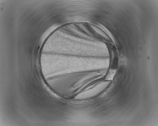 X0000076031293200610152038