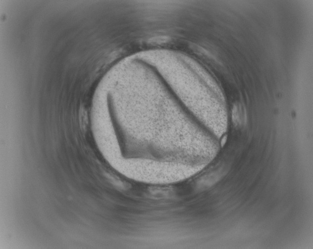 X0000076031299200610152037