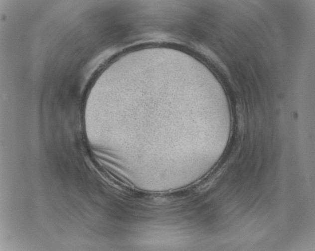 X0000076031318200610152037