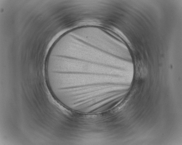 X0000076031339200610152038