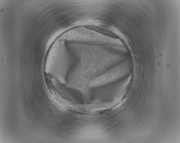 X0000076031344200610152038