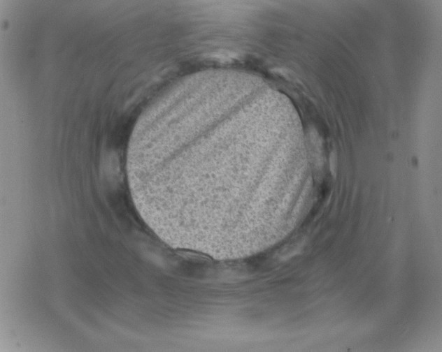 X0000076031347200610152037
