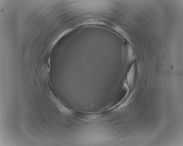 X0000076031369200610152037