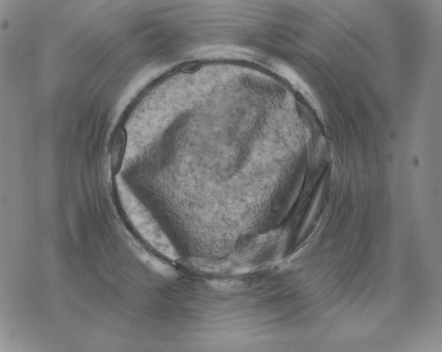 X0000076031376200610152036