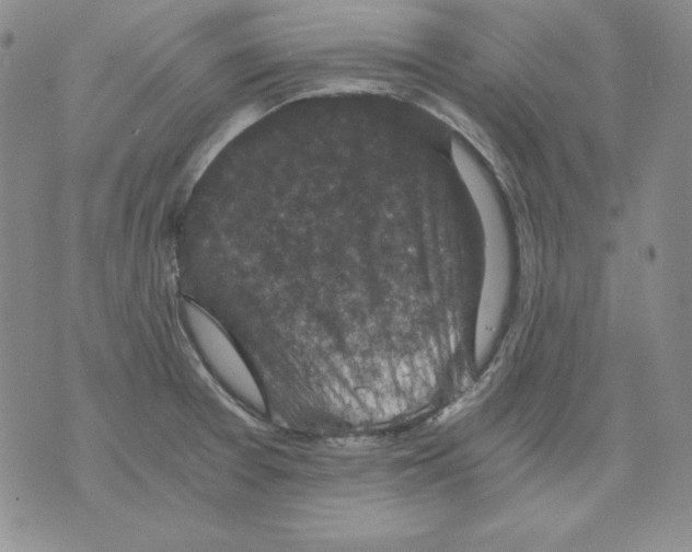 X0000076031377200610152036
