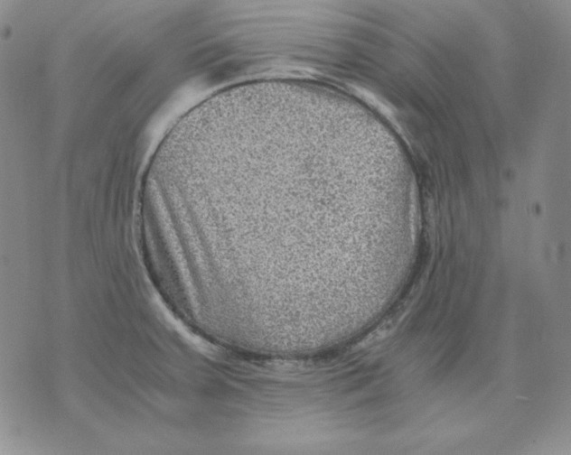 X0000076031379200610152036