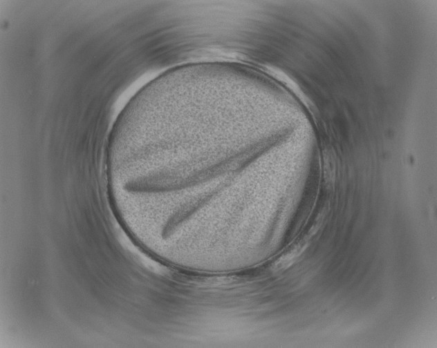X0000076031387200610152036
