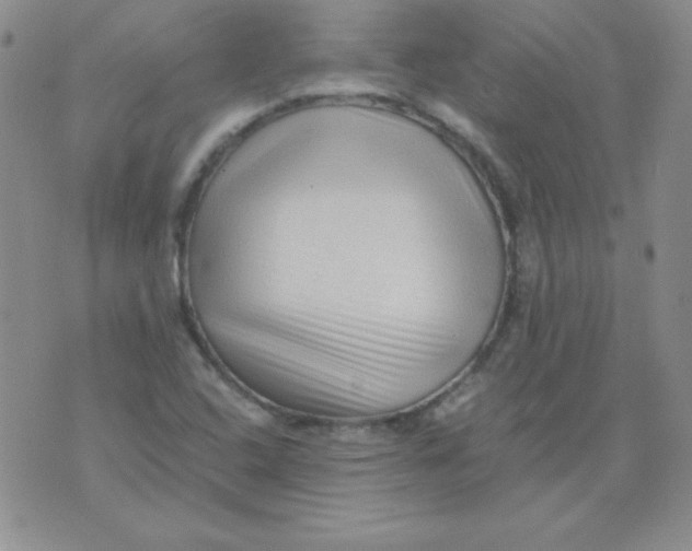 X0000076031408200610152036