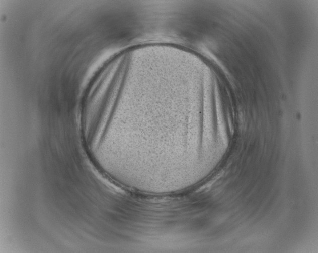 X0000076031416200610152036