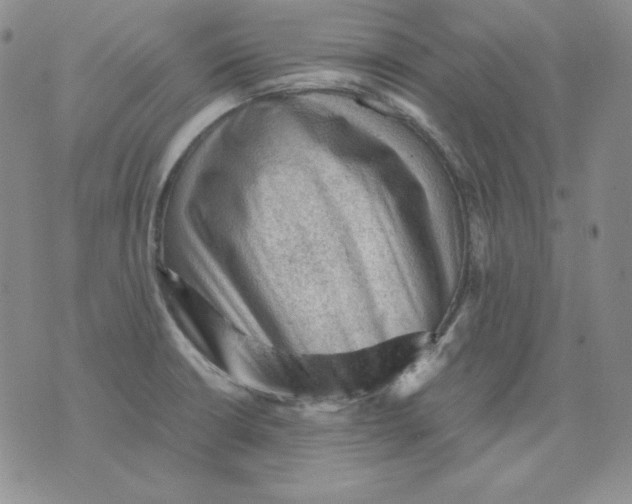 X0000076031426200610152036