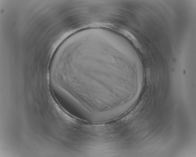 X0000076031428200610152036