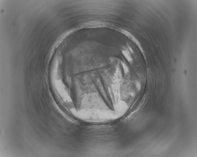 X0000076031429200610152036
