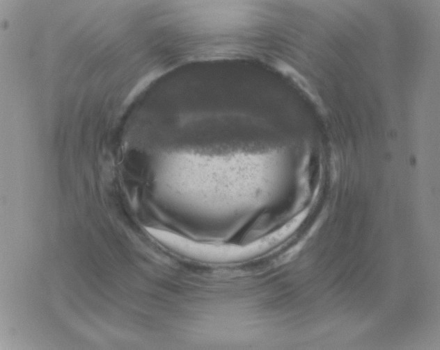 X0000076031449200610152035