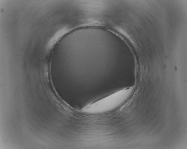 X0000076031455200610152035
