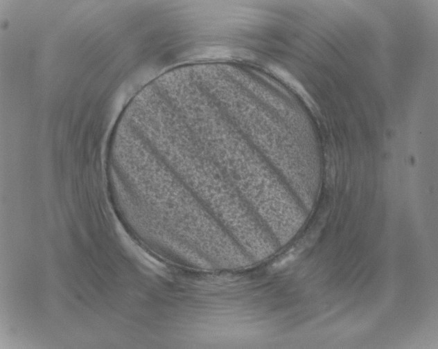 X0000076031475200610152035