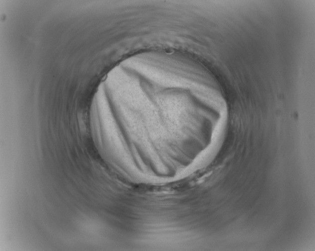 X0000076031490200610152034