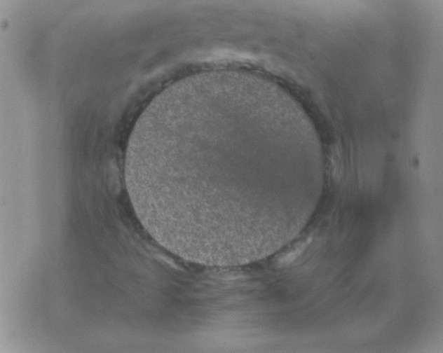 X0000076031493200610152034