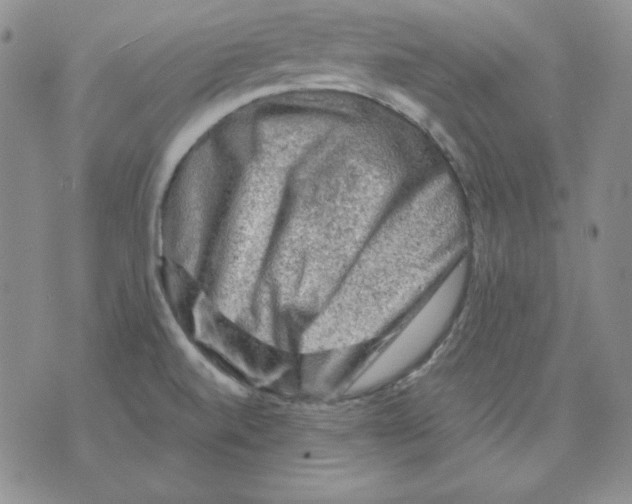 X0000076031520200610152034