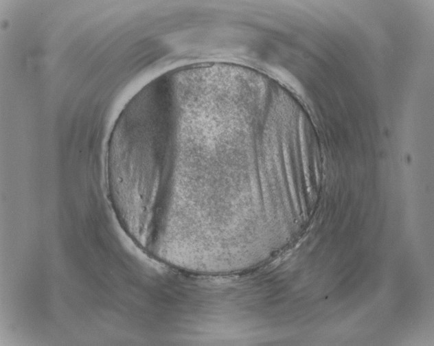 X0000076031528200610152034