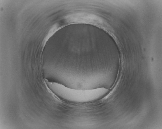 X0000076031529200610152034