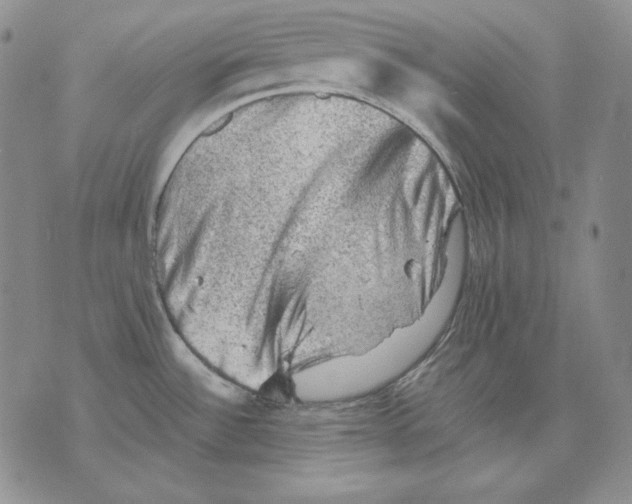 X0000076031532200610152034