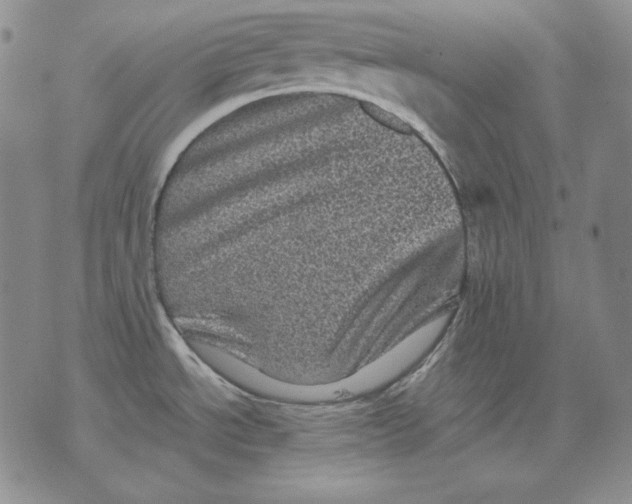 X0000076031534200610152035