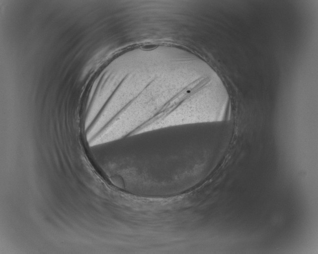 X0000076030002200610201839