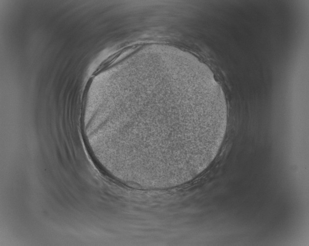 X0000076030003200610201839