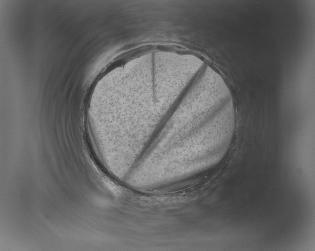 X0000076030005200610201839