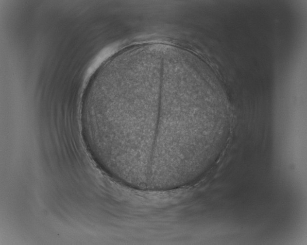 X0000076030006200610201839