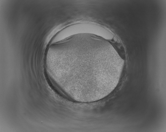 X0000076030007200610201839