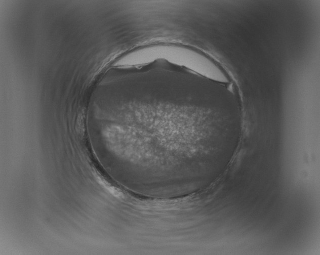 X0000076030009200610201839