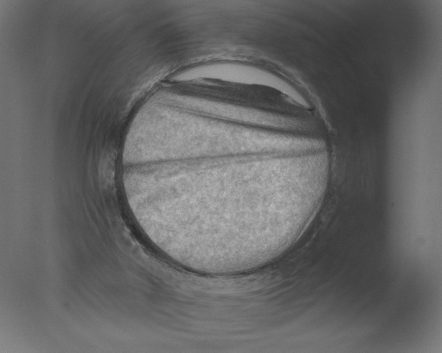 X0000076030010200610201839