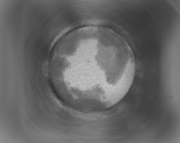 X0000076030012200610201839