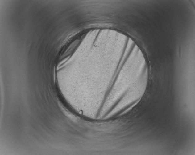 X0000076030013200610201839