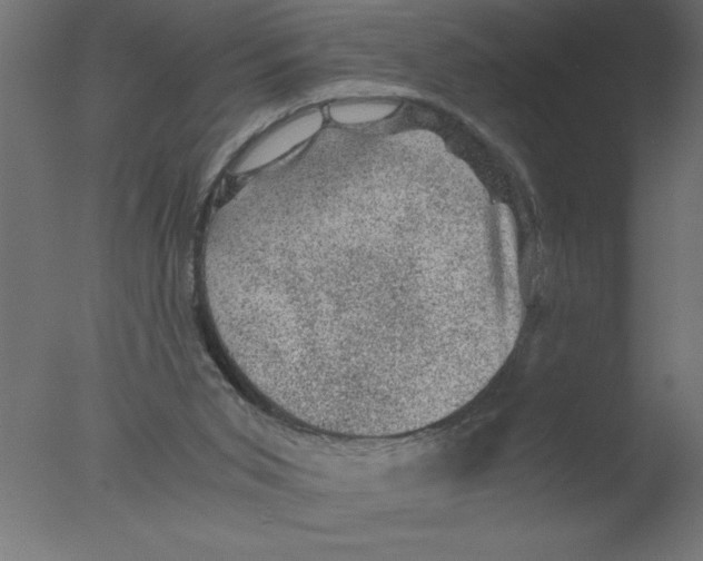 X0000076030015200610201839