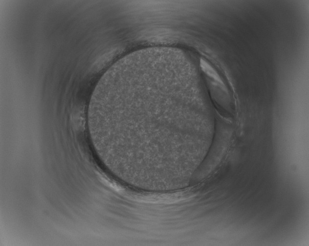 X0000076030017200610201839