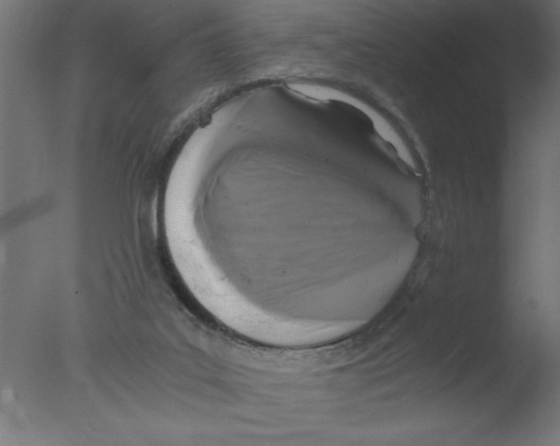 X0000076030019200610201839