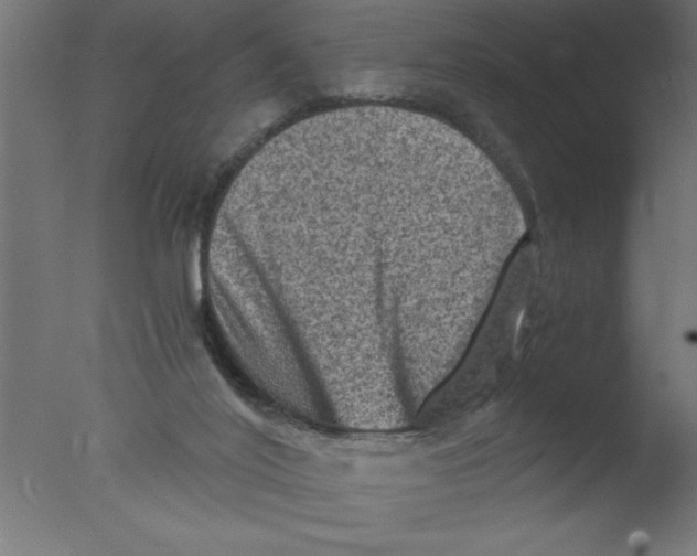 X0000076030020200610201839