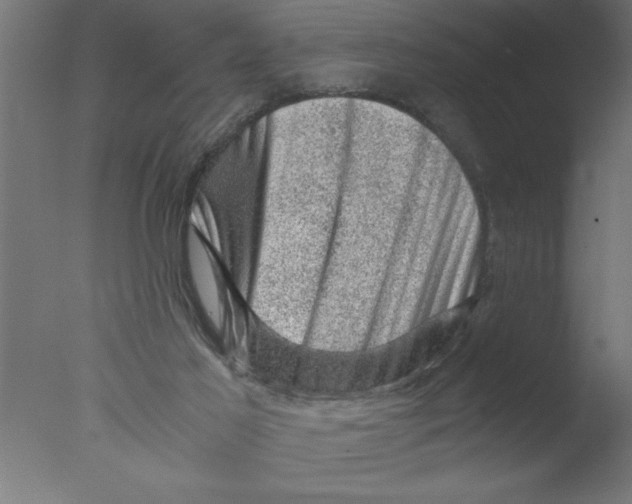 X0000076030021200610201839