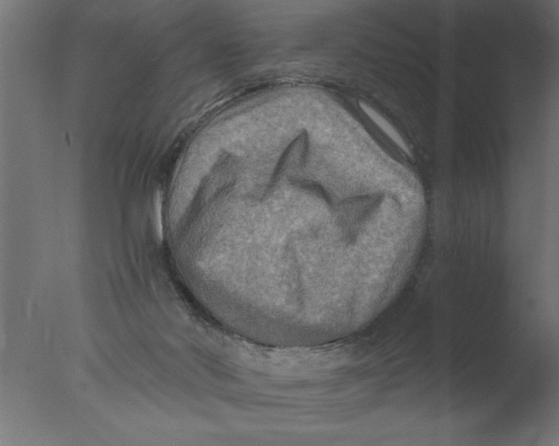 X0000076030022200610201839