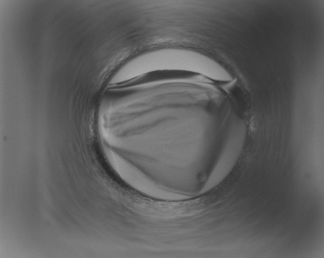 X0000076030023200610201839