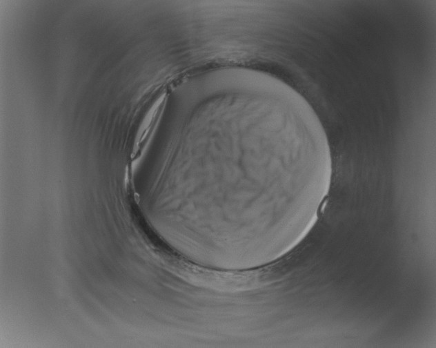 X0000076030027200610201839