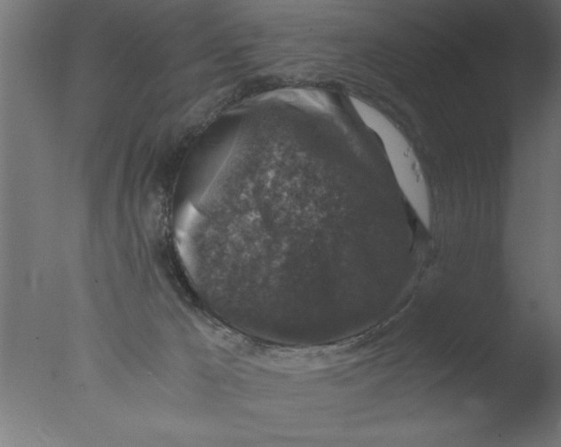 X0000076030029200610201839