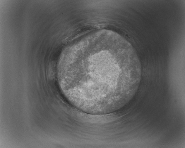 X0000076030030200610201839