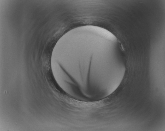 X0000076030031200610201839