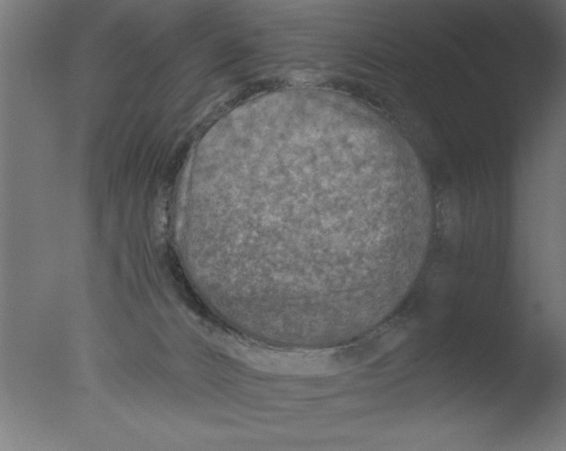 X0000076030032200610201839